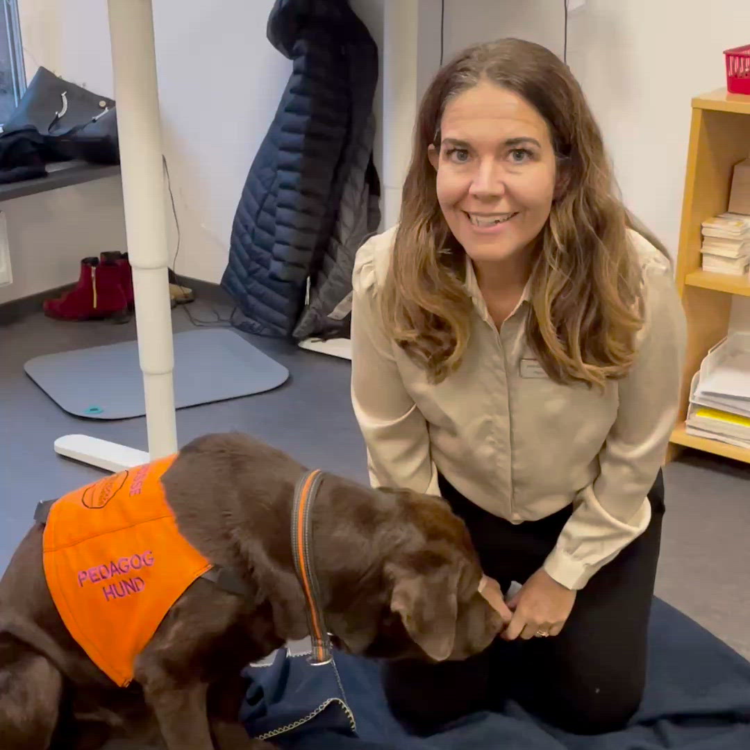 Video Thumbnail Image