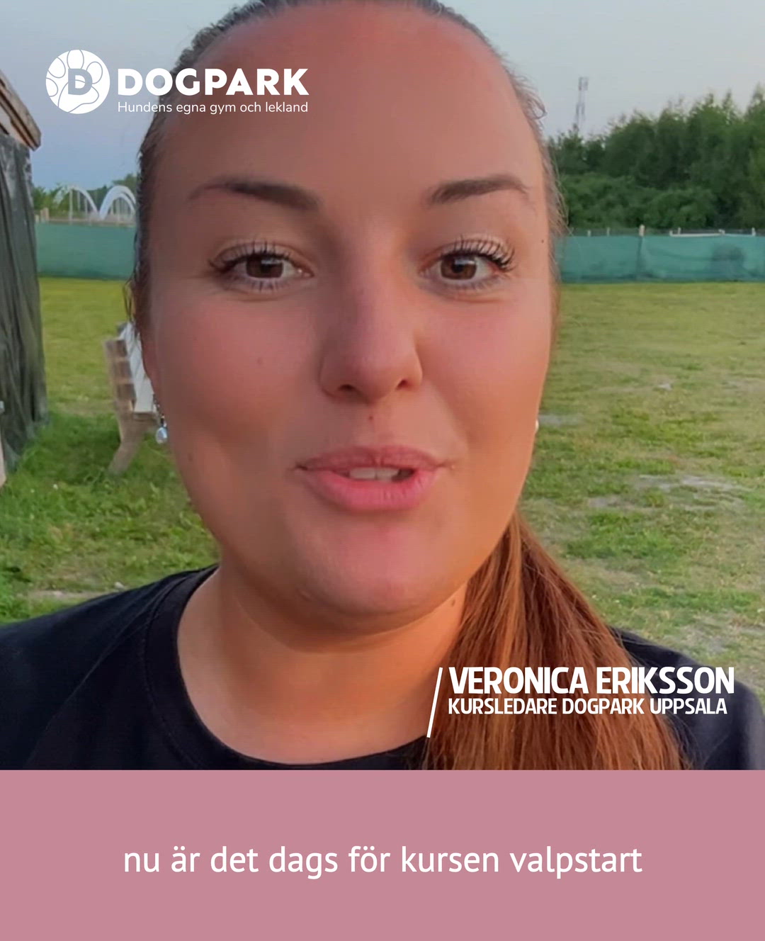 Video Thumbnail Image